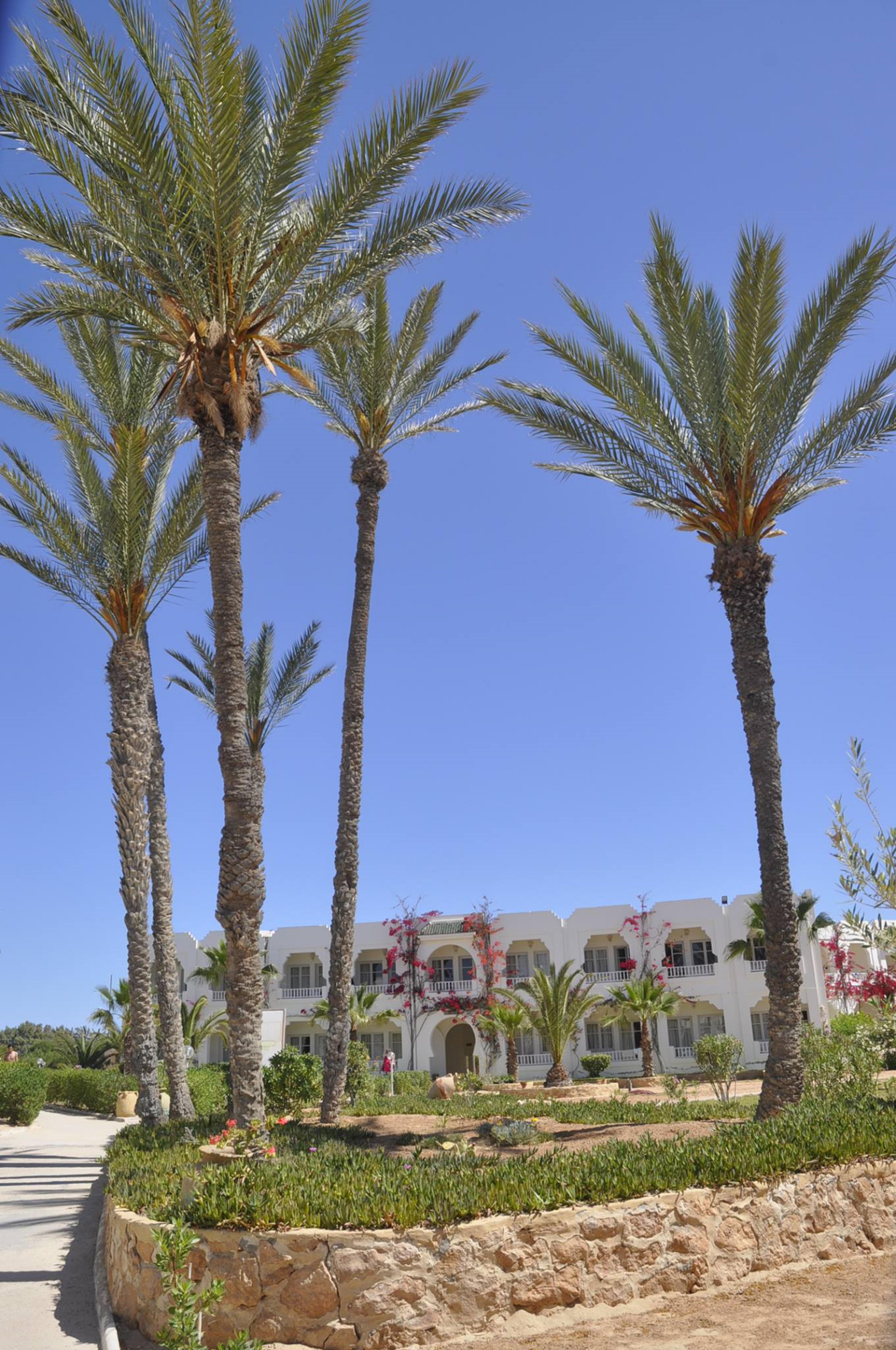Jerba Sun Club Hotel
